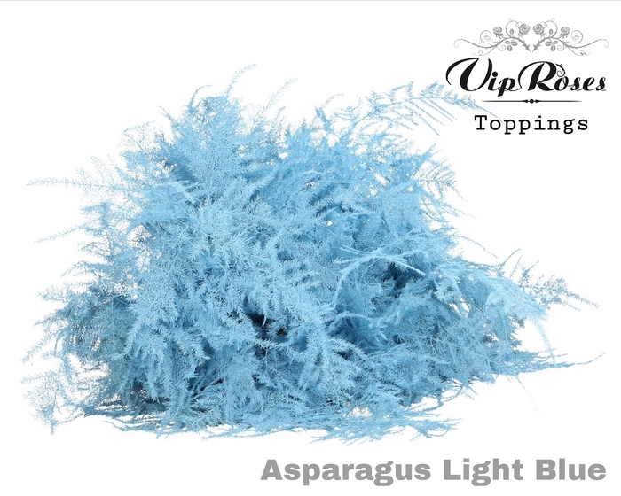 <h4>ASP OV EXTRA VEREN LIGHT BLUE</h4>