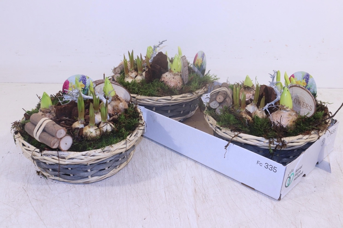 <h4>ARR BOL KNOLGEWAS</h4>