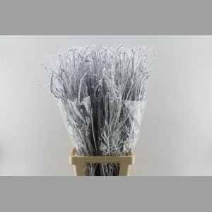 Berk Betula Snow 90cm