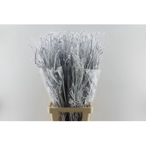 Berk Betula Snow 90cm