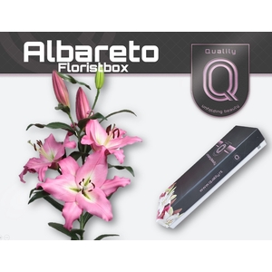 LI OT ALBARETO FLORISTBOX 4+