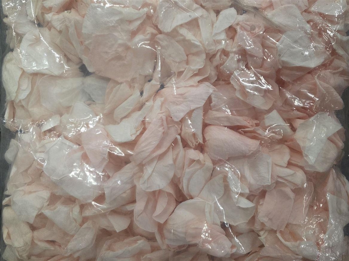 <h4>Ro Pres Petals Soft Pink 500gr</h4>