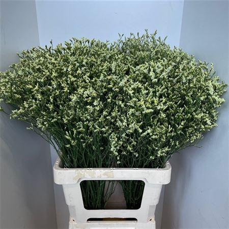 <h4>LIM SIN CLEAR DIAMON*</h4>