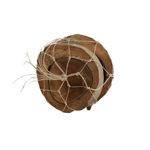 Coconut Half 2 Pcs H19D19