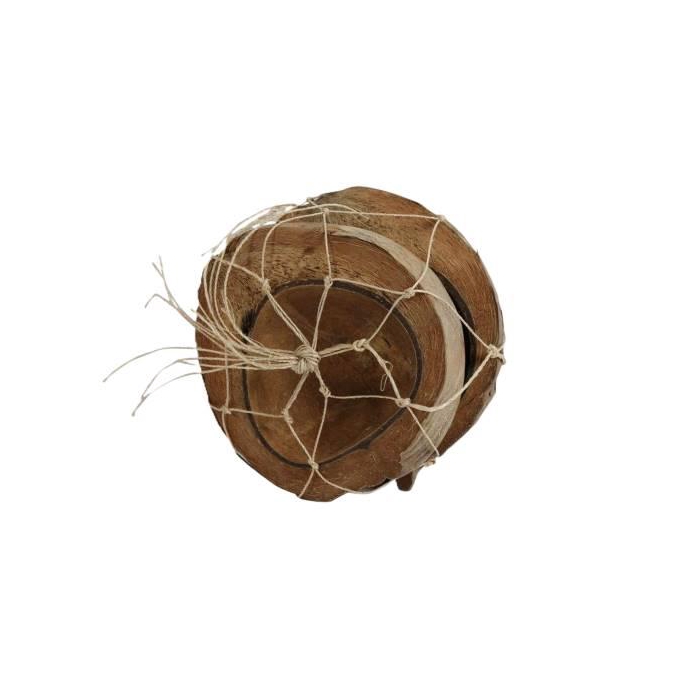 <h4>Coconut Half 2 Pcs H19D19</h4>