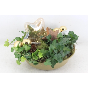 arr5 Kerst MB - Zink gold hedera ster LED KL.