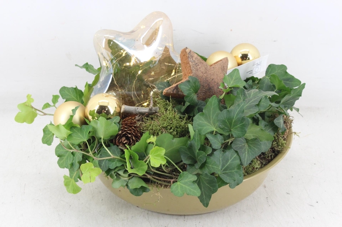 <h4>arr5 Kerst MB - Zink gold hedera ster LED KL.</h4>