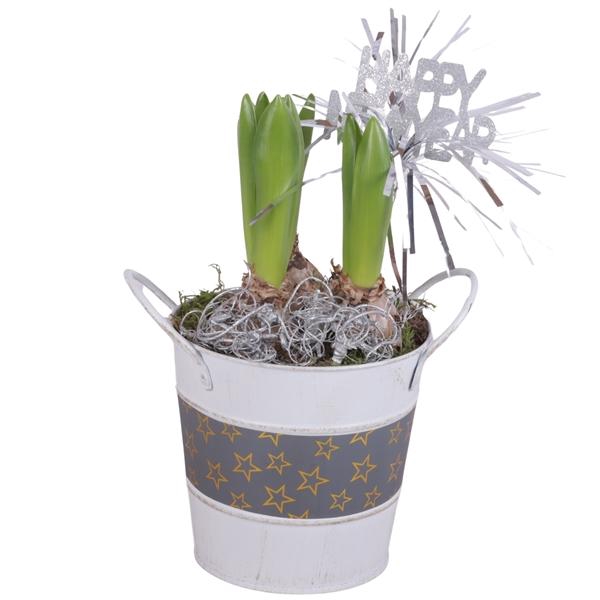 <h4>Christmas Arr. Hyacint Zinc Pot Round Star Design Ø12cm 3PP</h4>