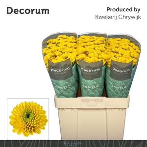 Chr S Aurinko 1300gr