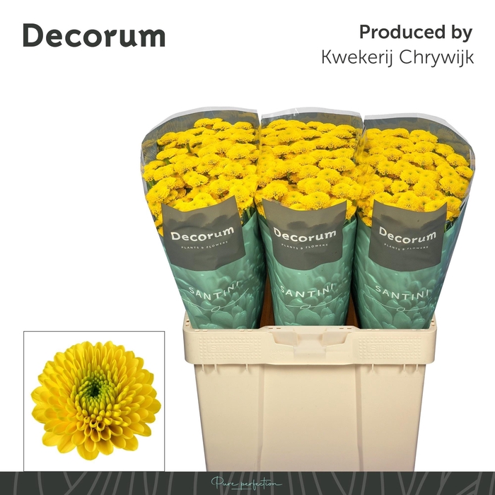 <h4>Chr S Aurinko 1300gr</h4>