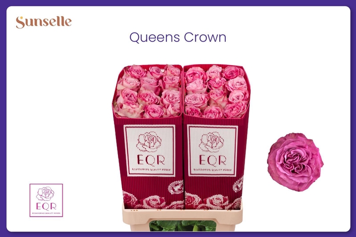 <h4>R GR QUEENS CROWN</h4>