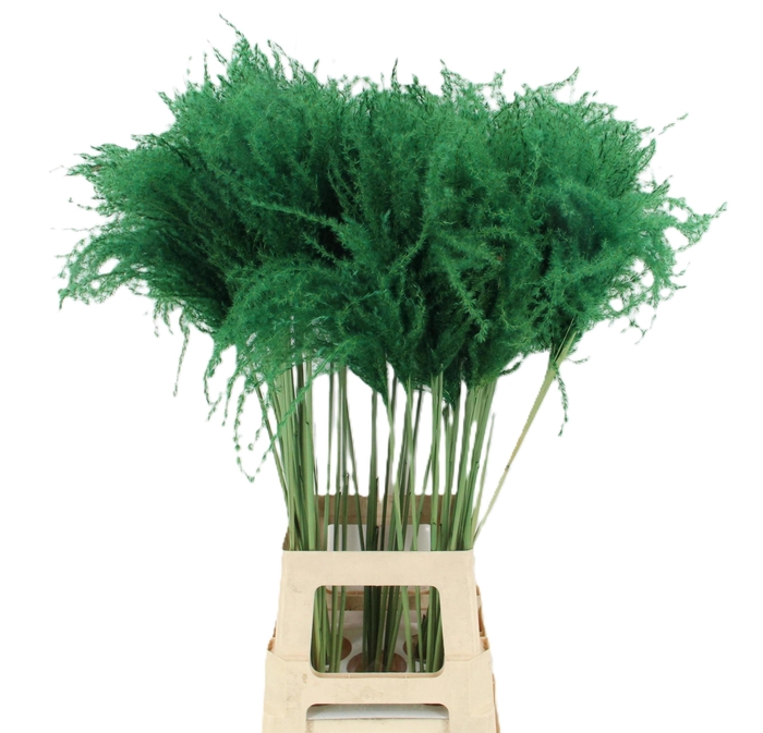 <h4>DROOGBL BEWERKT H%</h4>