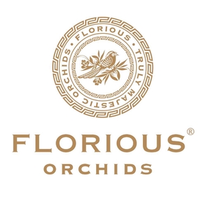 No12 Bowl 10 Tak Overig