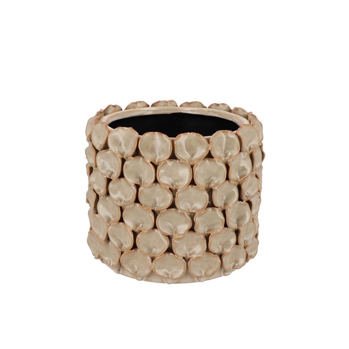 <h4>Nancy Beige Pot Round Flower 17x17x14cm</h4>