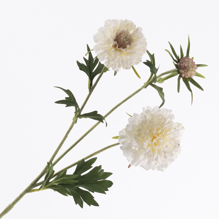 <h4>Scabiosa Spray White FL440345WHI</h4>