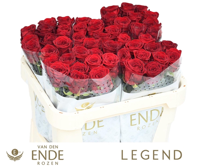 <h4>R GR RED NAOMI!</h4>