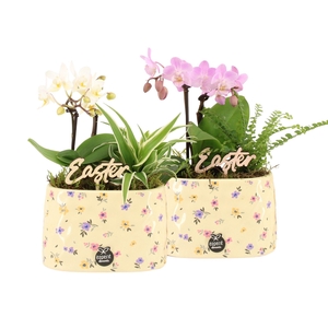 70882: Easter arrangement