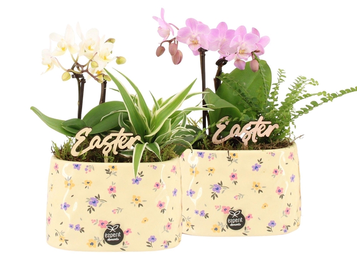 <h4>70882: Easter arrangement</h4>