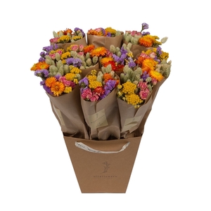 Droogbloemen-Market More 50cm - Multi