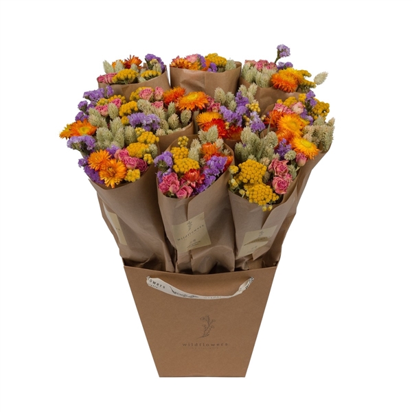 <h4>Droogbloemen-Market More 50cm - Multi</h4>