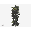 Dec Ilex Bl M Blu Prince