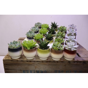 arr8 Succ Gem 5 Srt In Keramiek