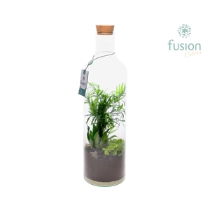 Green Bottle Fles Large met Arrangement