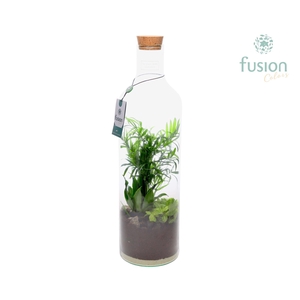 Green Bottle Fles Large met Arrangement