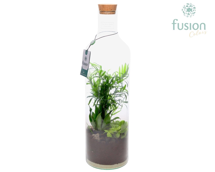 <h4>Green Bottle Fles Large met Arrangement</h4>