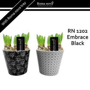 1202 - Embrace Black (Hyacint)