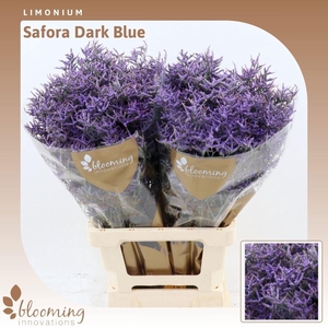 LIMONIUM SAFORA DARK BLUE 25GR