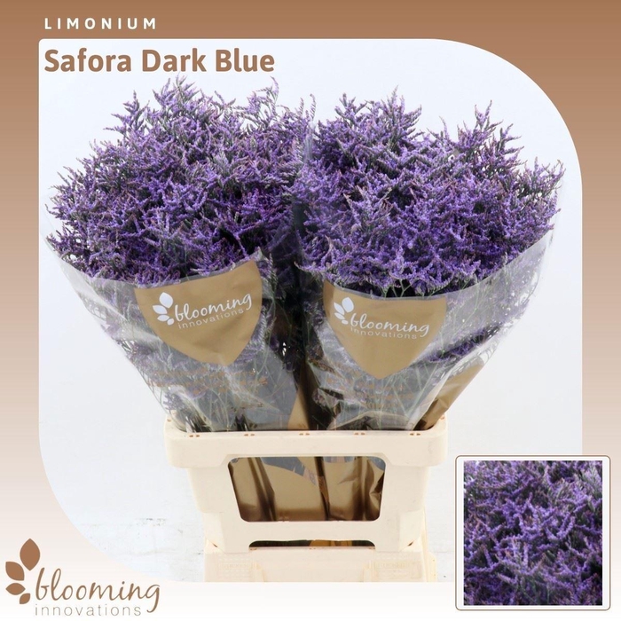 <h4>LIMONIUM SAFORA DARK BLUE 25GR</h4>