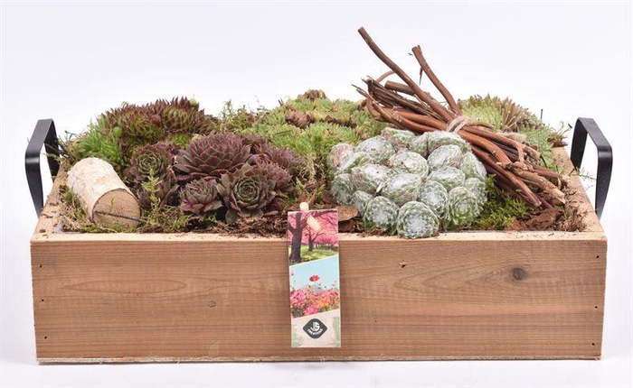 <h4>Hout rechth. metalen handvat 35x22c</h4>