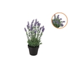 Silk Lavender Purple In Pot Black M 21x21x32cm Nm