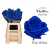 R GR VIP BLUE 65CM