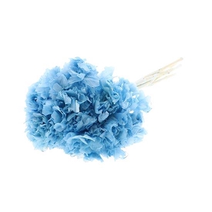 Bunch Hydrangea Pres.L30