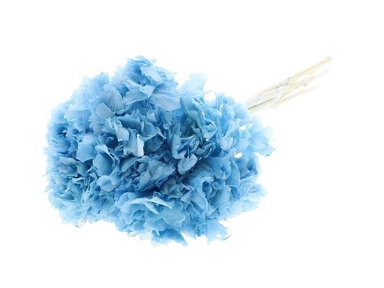 Bunch Hydrangea Pres.L30