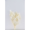 Dried Palm Spear 10pc Bleached Bunch