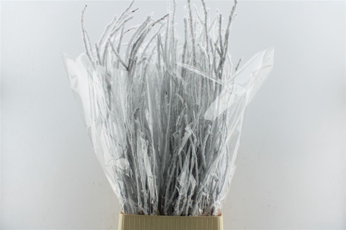 <h4>Berk Sneeuw 120cm</h4>