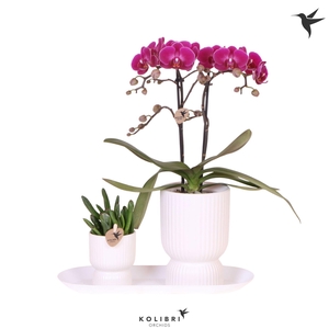 Kolibri Gift Set small Floral Blush