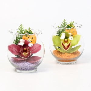 CYMB VERPAKT P BLOEM 1185