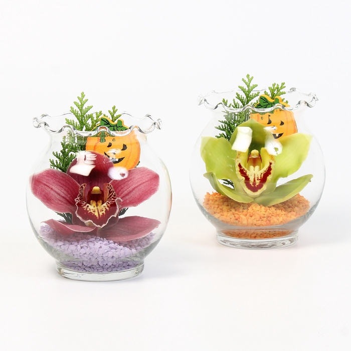 <h4>CYMB VERPAKT P BLOEM 1185</h4>