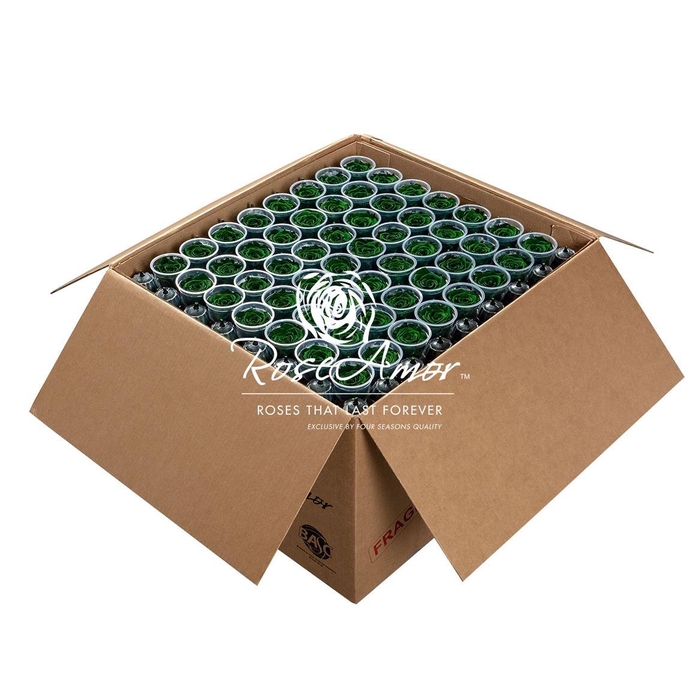 <h4>Xl Bulk Gre02</h4>