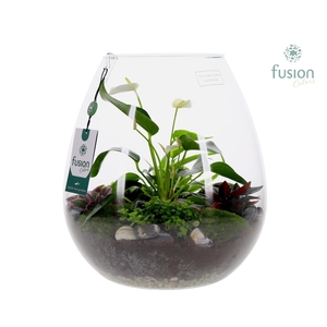 Green Bottle Abby XLarge met Anthurium arrangement