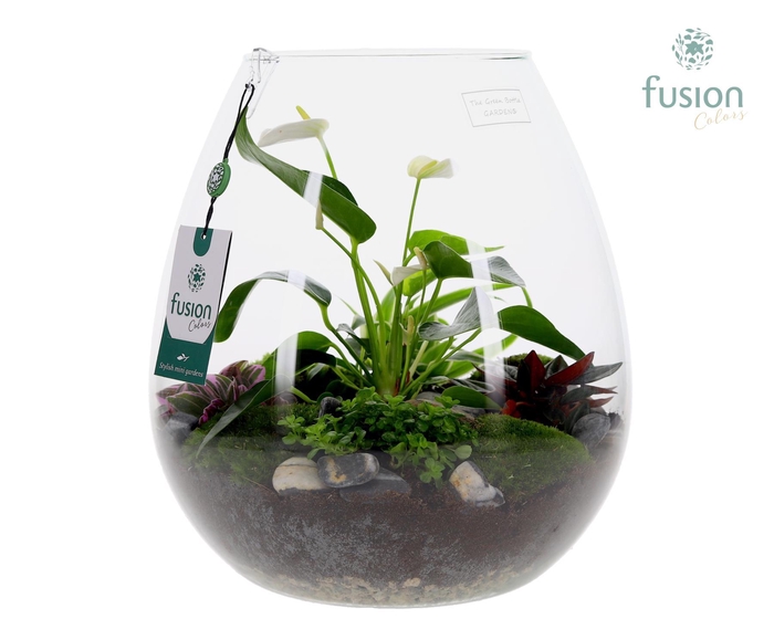 <h4>Green Bottle Abby XLarge met Anthurium arrangement</h4>