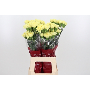 Di St Hermes Yellow