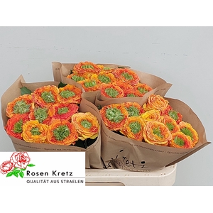 R GR GR ISLAND SAMOA