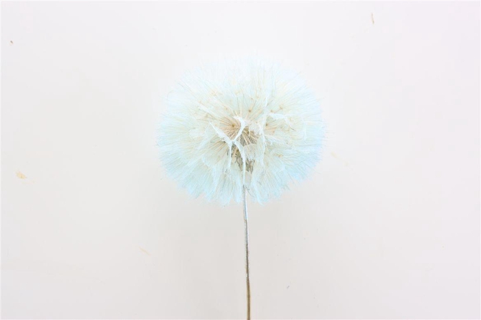 <h4>Pres Puste Flower Baby Satin Blue</h4>