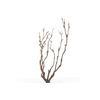 Syringa Branch Super Kvandal