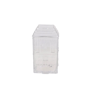 Mille Clear Vase House 14x11x25cm